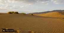 Qum Tapa Desert